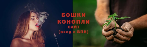гидра Дмитриев