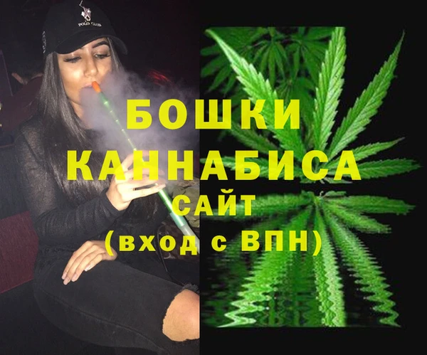 гидра Дмитриев