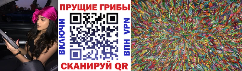 Купить закладки  Мыски  Псилоцибиновые грибы GOLDEN TEACHER 